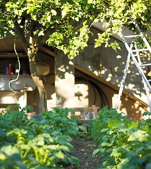 Arcobaleno B&B-1